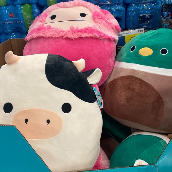 Meet the Posher Other - Meet your Posher, Lulu